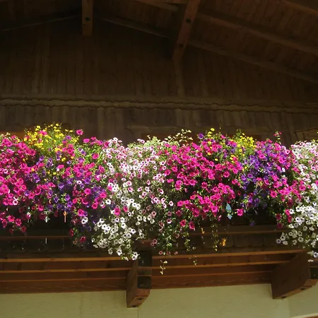 Lejlighed Haus Reiterer *