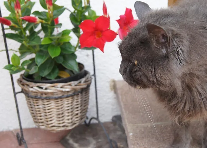 Lejlighed Haus Reiterer