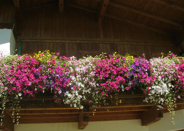 Апартаменты Haus Reiterer *